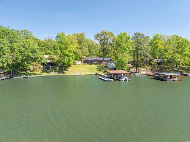 dock area with a water view