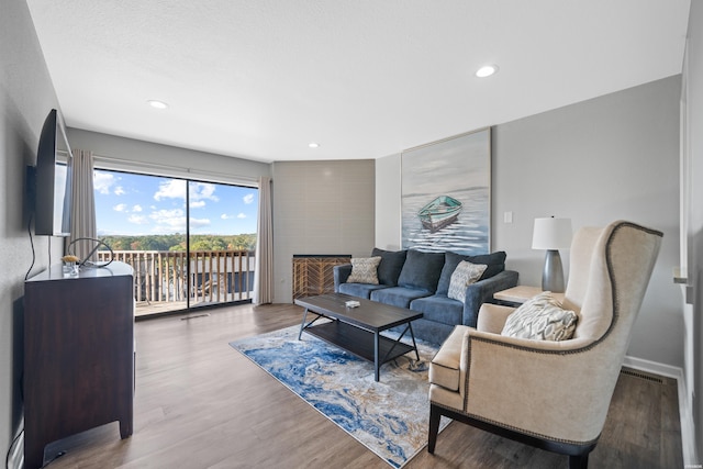 203 Stearns Pt Unit F3, Hot Springs, AR 71913 - living area featuring wood finished floors, a fireplace, and recessed lighting