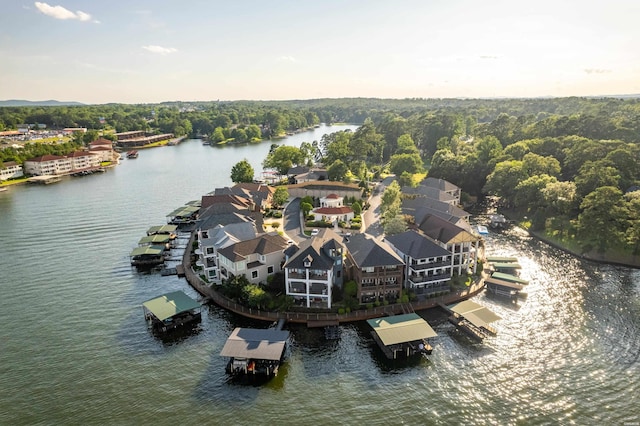 347 Paradise Pt, Hot Springs, AR 71913 - bird's eye view of a nearby body of water
