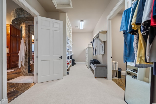 347 Paradise Pt, Hot Springs, AR 71913 - walk in closet with carpet flooring and attic access