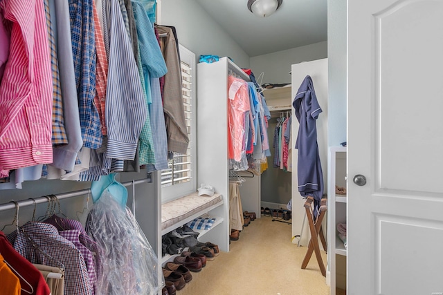 walk in closet featuring carpet flooring