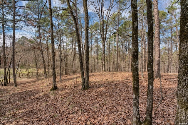 144A Isaac Ln, Hot Springs, AR 71901 - view of landscape featuring a wooded view