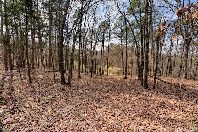 144A Isaac Ln, Hot Springs, AR 71901 - view of local wilderness with a view of trees