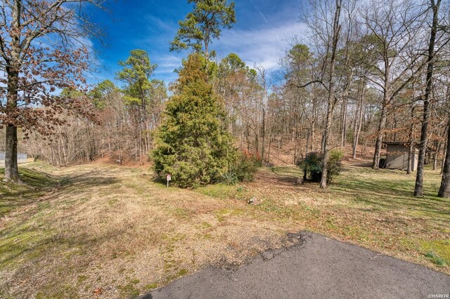 144A Isaac Ln, Hot Springs, AR 71901 - view of yard with a view of trees