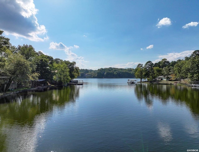 water view featuring a view of trees and a dock