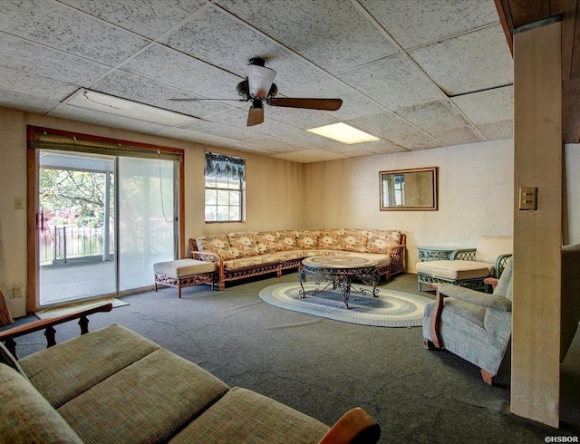 living room featuring carpet, a drop ceiling, and a ceiling fan