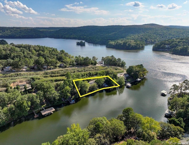 bird's eye view with a forest view and a water view