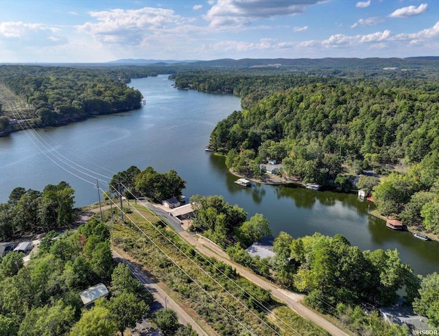 drone / aerial view featuring a forest view and a water view