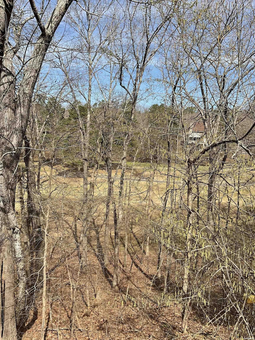 1672 Westchester, Hot Springs, AR 71913 - photo 3