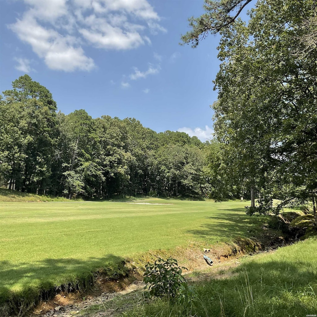 1672 Westchester, Hot Springs, AR 71913 - photo 2