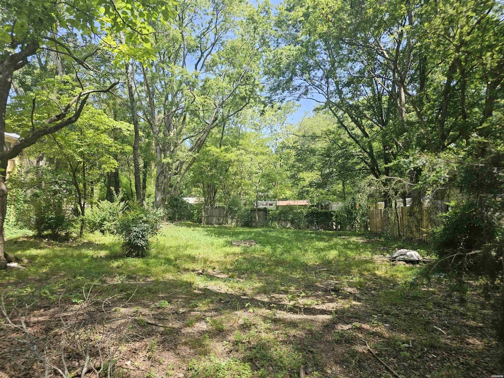 1102 Rector, Hot Springs, AR 71913 - photo 3