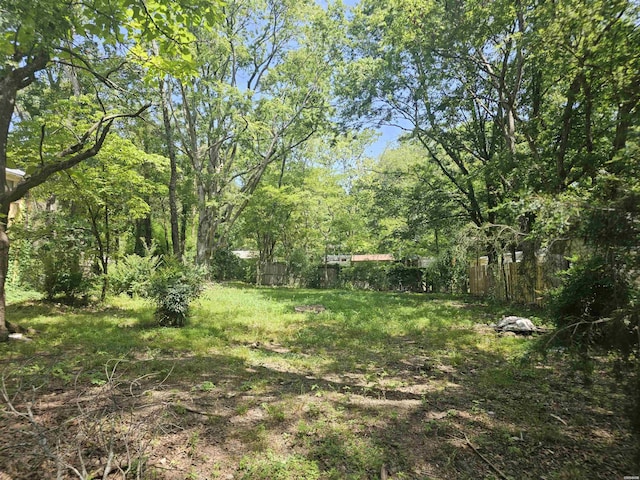 1102 Rector, Hot Springs, AR 71913 - photo 3