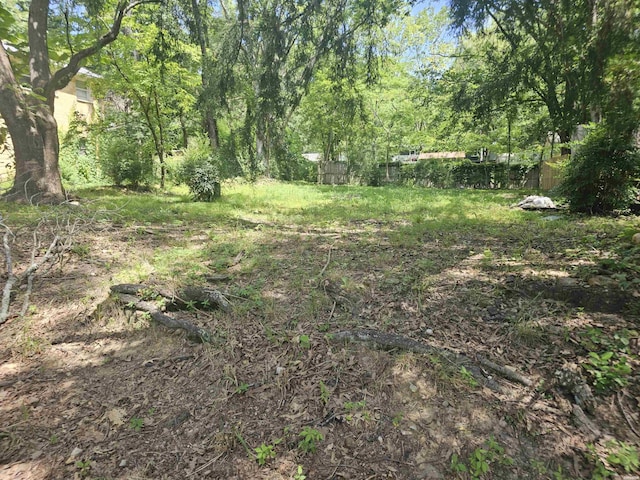 1102 Rector, Hot Springs, AR 71913 - photo 1