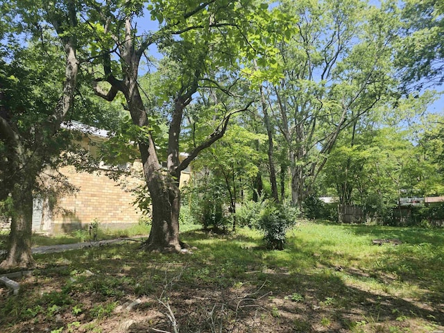1102 Rector, Hot Springs, AR 71913 - photo 2