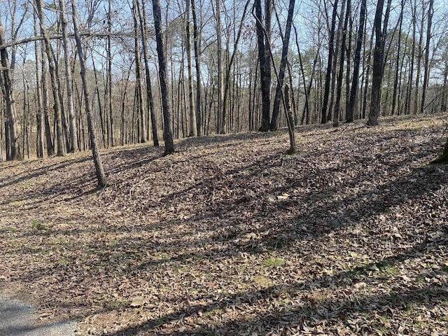 Listing photo 3 for LOT1687 Westchester Ct, Hot Springs AR 71913