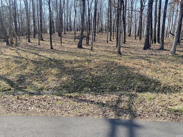 Listing photo 2 for LOT1687 Westchester Ct, Hot Springs AR 71913