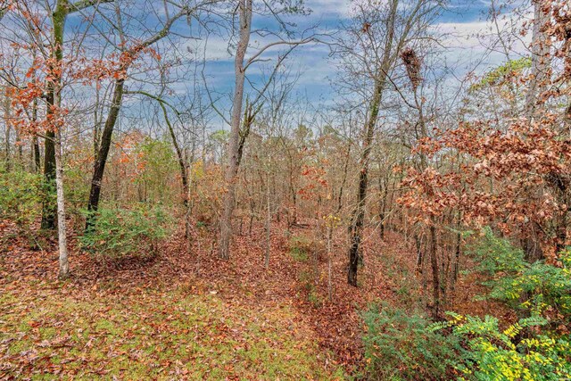 view of nature with a wooded view