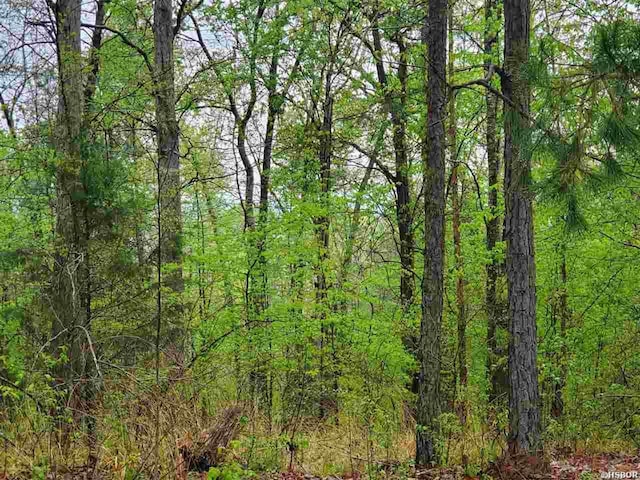 LOT770A Plum Holw, Hot Springs AR, 71913 land for sale