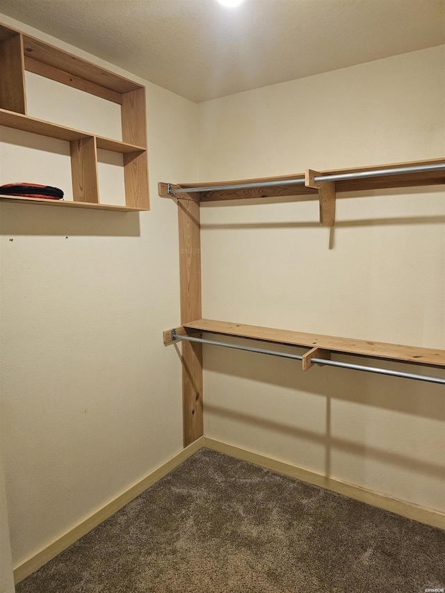 161 Funderburg Rd, Mineral Springs, AR 71851 - walk in closet featuring dark colored carpet