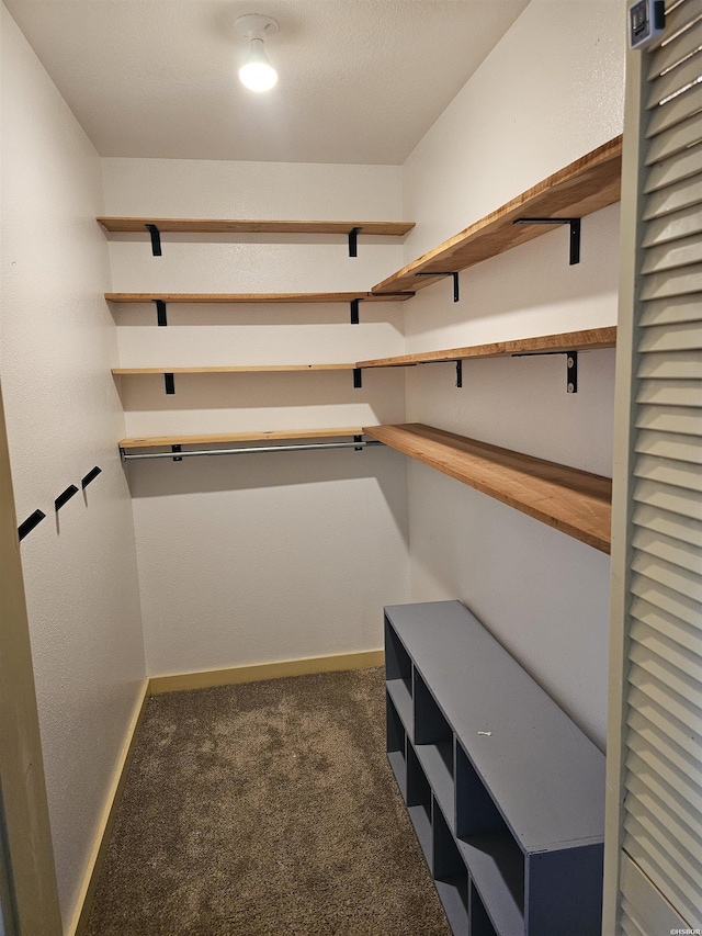 161 Funderburg Rd, Mineral Springs, AR 71851 - walk in closet with carpet floors