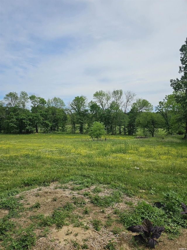 161 Funderburg Rd, Mineral Springs, AR 71851 - view of local wilderness with a rural view