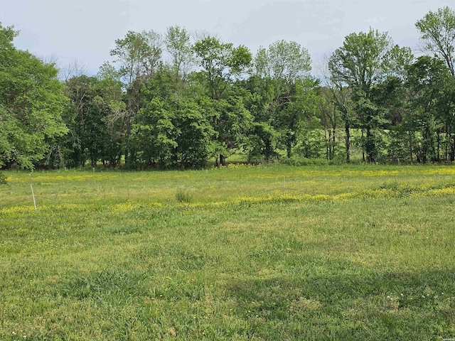 161 Funderburg Rd, Mineral Springs, AR 71851 - view of yard featuring a wooded view