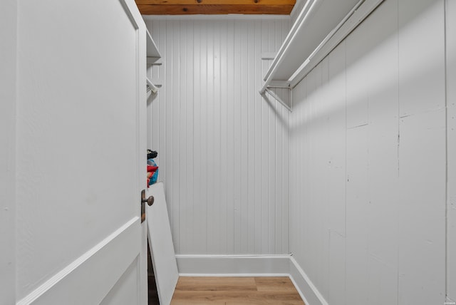 spacious closet with light wood-type flooring