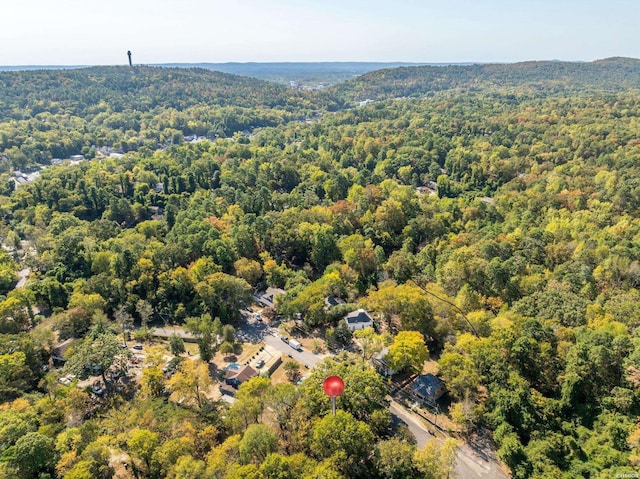 216 Elizabeth Ter, Hot Springs, AR 71901 - photo 4