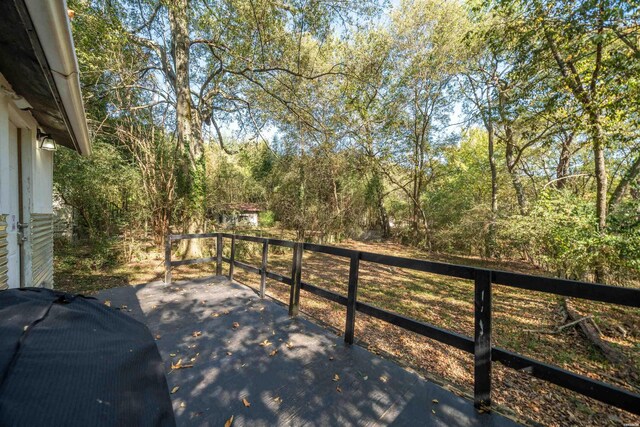 216 Elizabeth Ter, Hot Springs, AR 71901 - photo 45