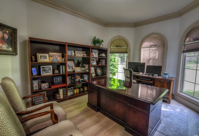 office space featuring light wood-style floors, a wealth of natural light, and ornamental molding