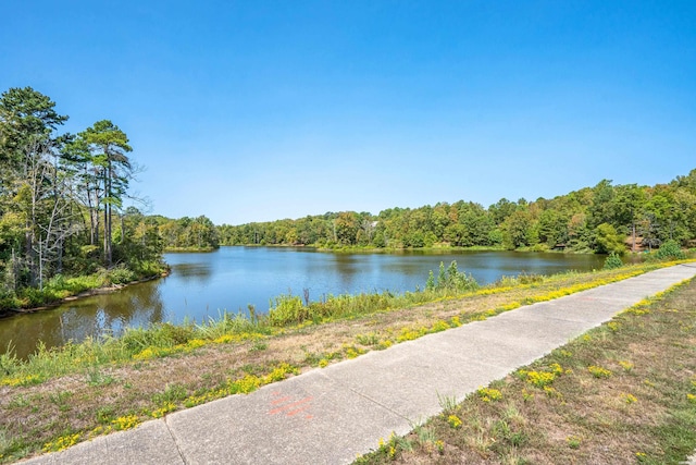 property view of water featuring a wooded view