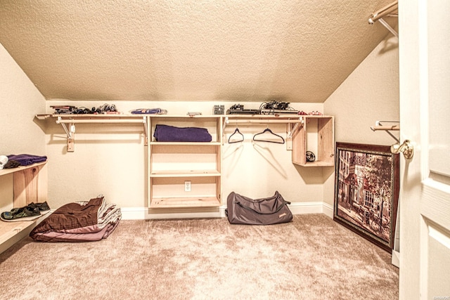 451 Lakeland Dr Unit G-4, Hot Springs, AR 71913 - walk in closet featuring light colored carpet and vaulted ceiling