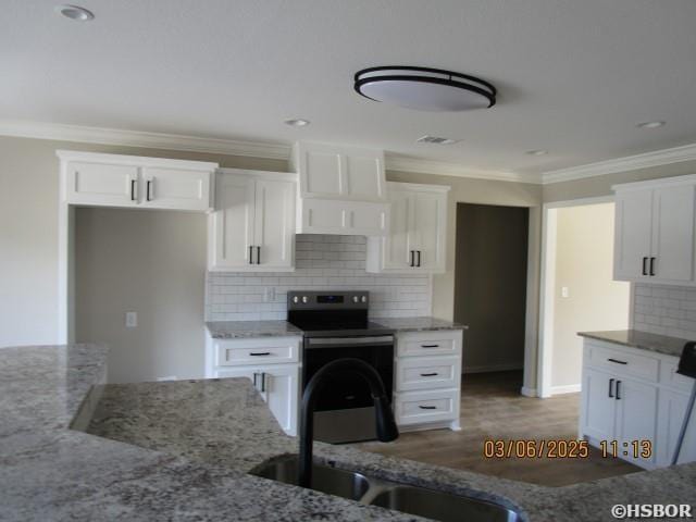 kitchen featuring crown molding, electric range, a sink, and light stone countertops