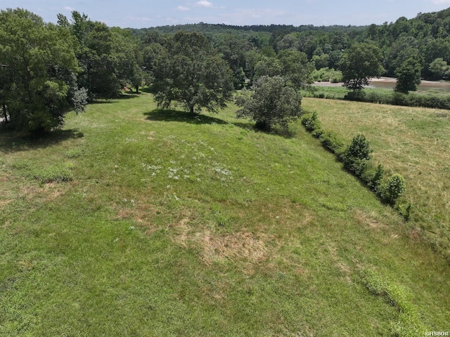 LOTS3 Riverview Dr, Glenwood, AR 71943