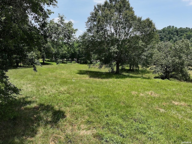 LOTS3 Riverview Dr, Glenwood, AR 71943