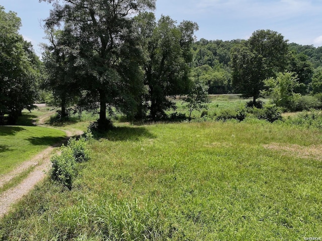 LOTS3 Riverview Dr, Glenwood, AR 71943