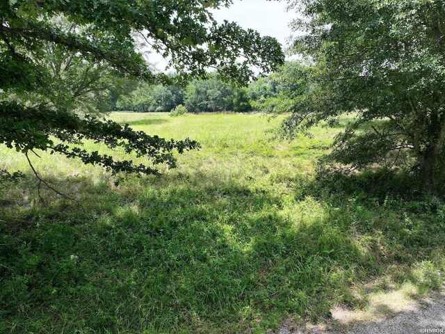 LOTS3 Riverview Dr, Glenwood, AR 71943 - photo 33
