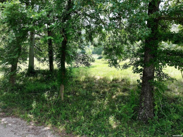 LOTS3 Riverview Dr, Glenwood, AR 71943