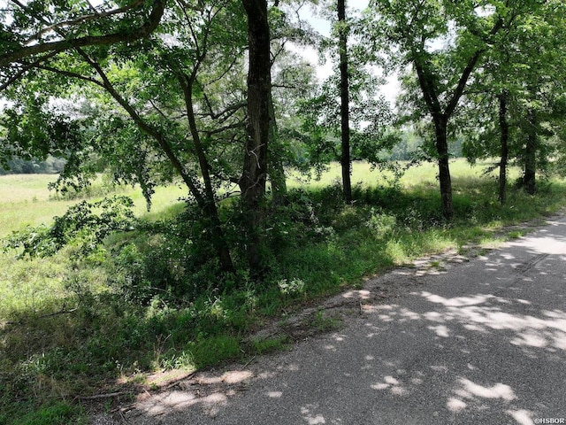 LOTS3 Riverview Dr, Glenwood, AR 71943