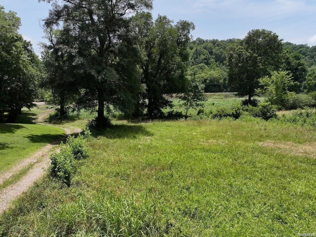 LOTS3 Riverview Dr, Glenwood, AR 71943 - photo 30