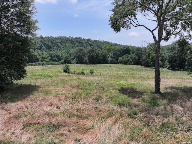 LOTS3 Riverview Dr, Glenwood, AR 71943