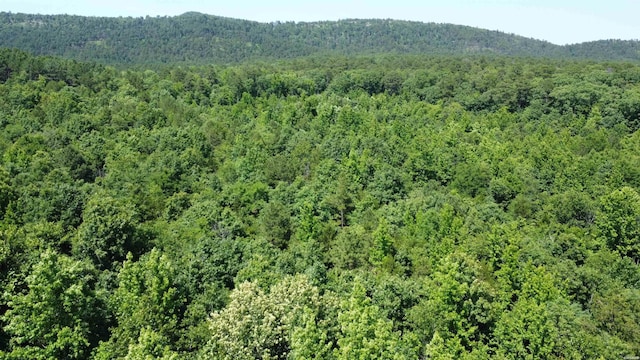 246 Burgess Rd, Bonnerdale, AR 71933 - photo 9