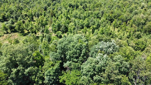 246 Burgess Rd, Bonnerdale, AR 71933 - photo 15