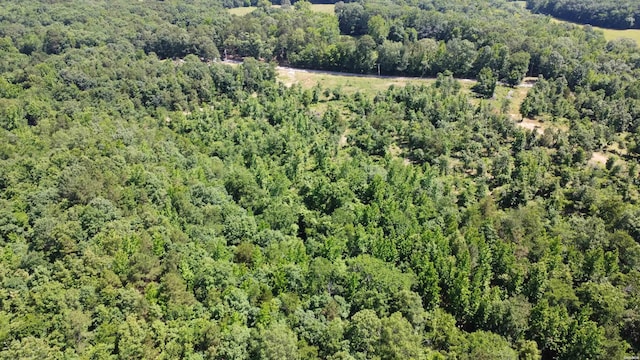 246 Burgess Rd, Bonnerdale, AR 71933 - photo 2