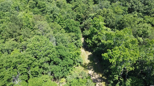 246 Burgess Rd, Bonnerdale, AR 71933 - photo 7