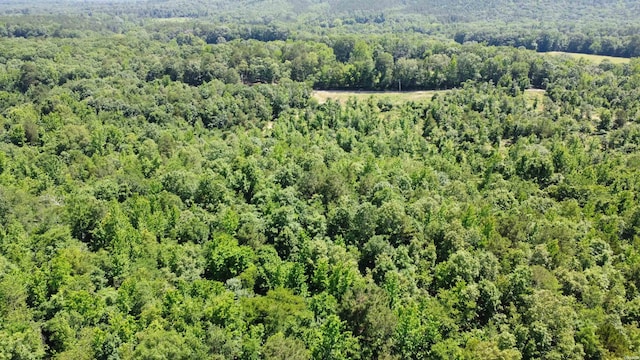 246 Burgess Rd, Bonnerdale, AR 71933 - photo 12