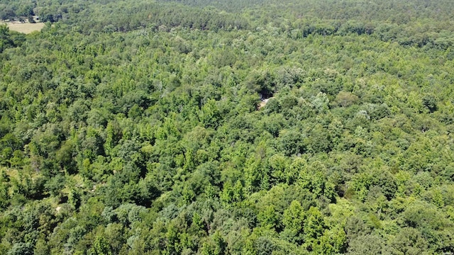 246 Burgess Rd, Bonnerdale, AR 71933 - photo 10