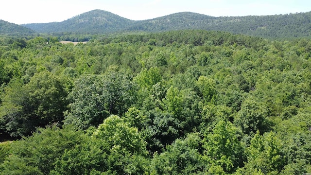 246 Burgess Rd, Bonnerdale, AR 71933 - photo 8