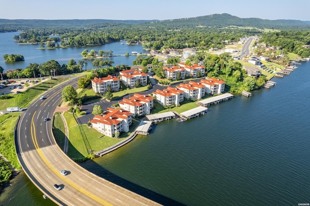 bird's eye view with a forest view and a water view