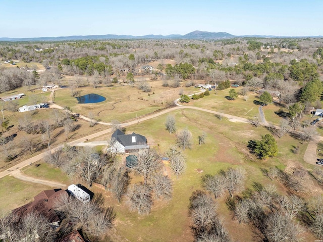 birds eye view of property featuring a mountain view